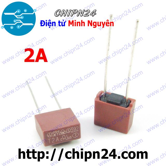[2 cái] (KG2) Cầu Chì Vuông 2A 250V (T2A250V)