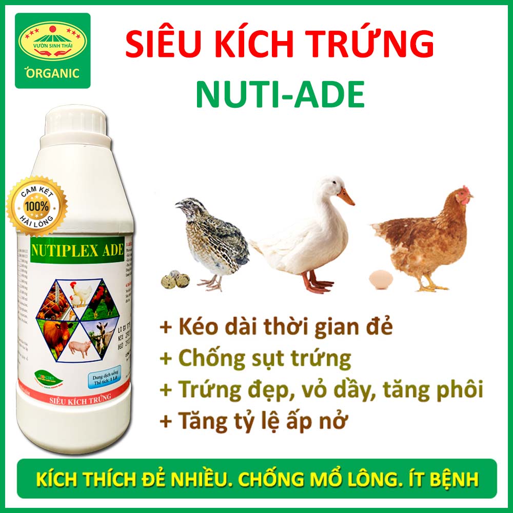 Siêu kích trứng NUTI-ADE dùng cho gà, vịt, chim, cút đẻ - Trứng đẹp, vỏ dày, tăng phôi - Chống sụt trứng, kéo dài thời gian đẻ