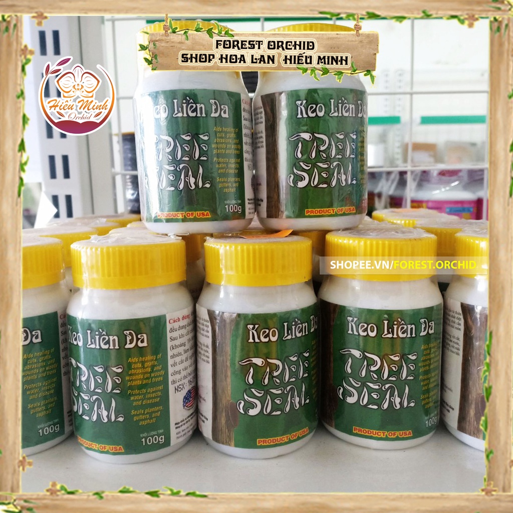 Keo liền sẹo Tree Seal USA Morrisons nhập khẩu