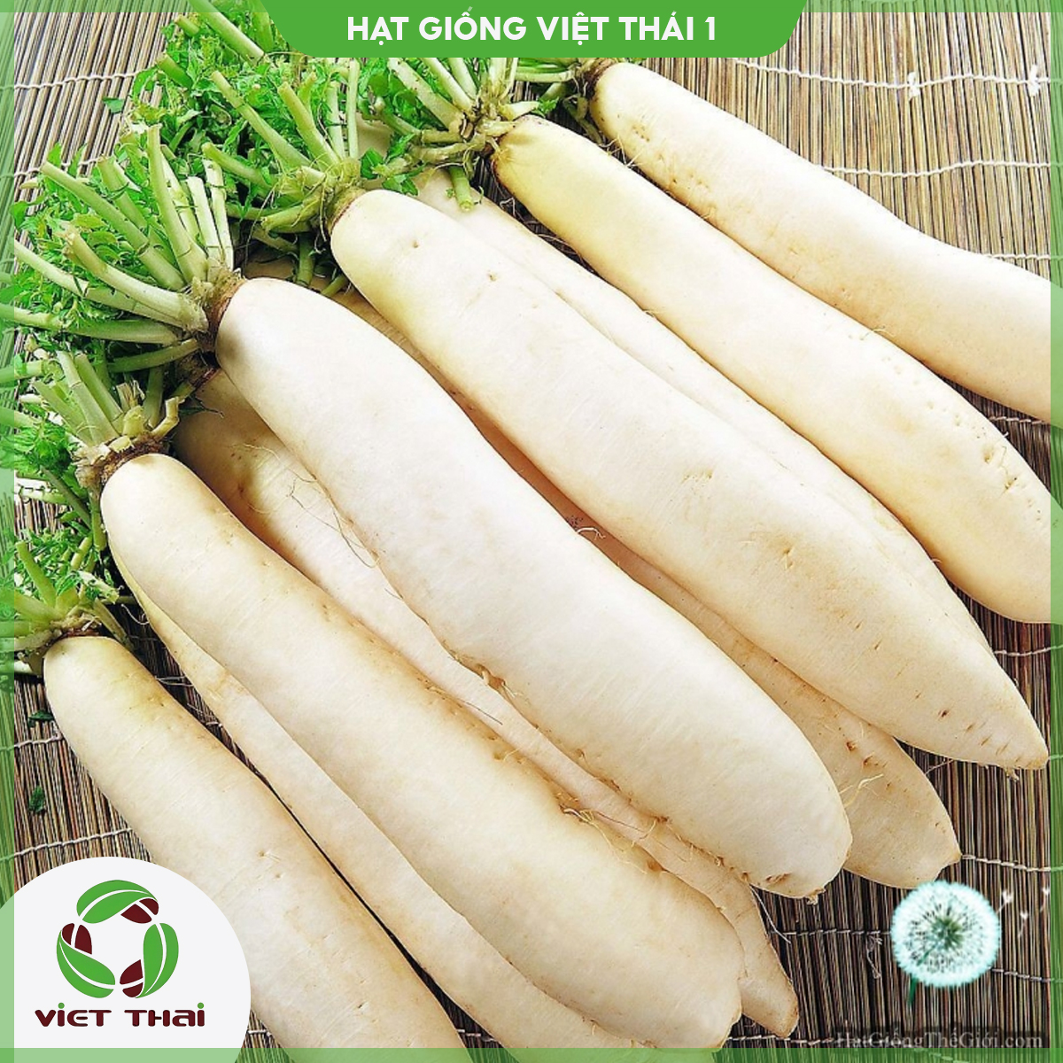 [SALE] Hạt giống Củ cải trắng TN - 42 - HGVT1