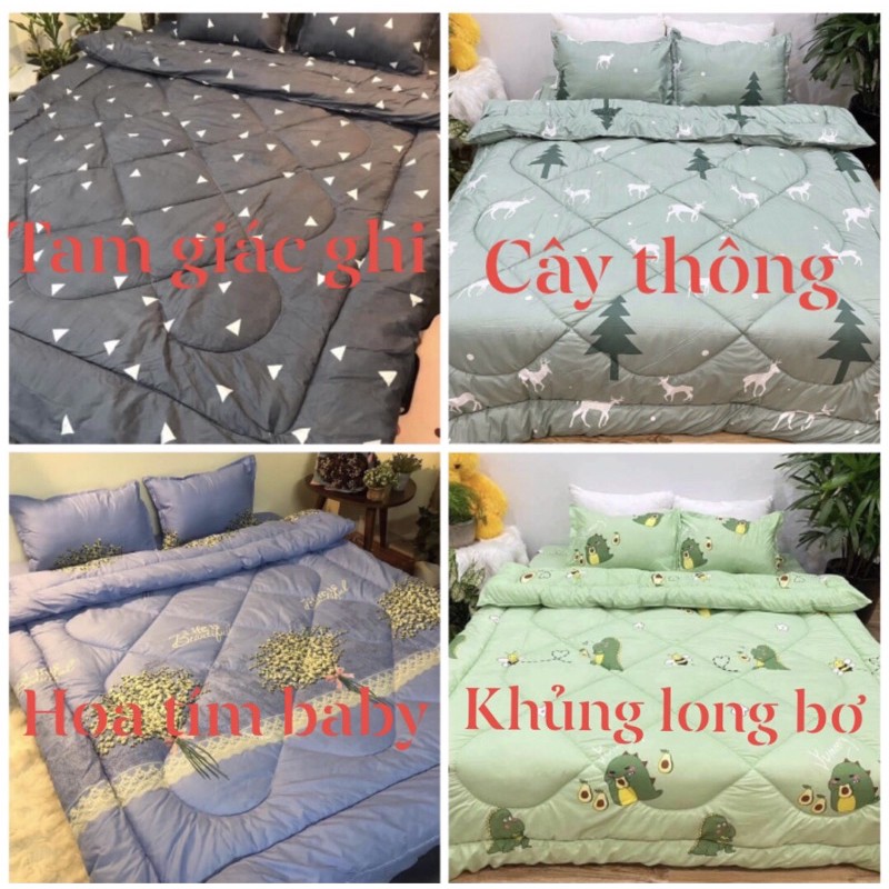 Combo ga giường poly cotton đủ bộ 5 món chăn phao