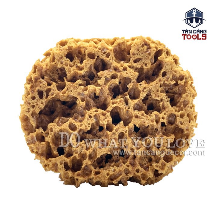 Miếng Mút Bọt Biển Tự Nhiên Sơn Hiệu Ứng M88KG ( Lỗ To )