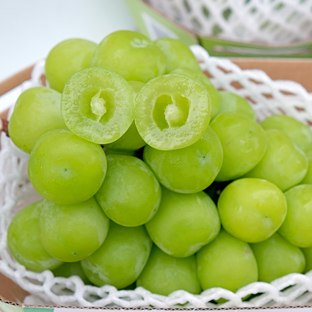 Nho mẫu đơn-cây giống-tặng kèm phân bón