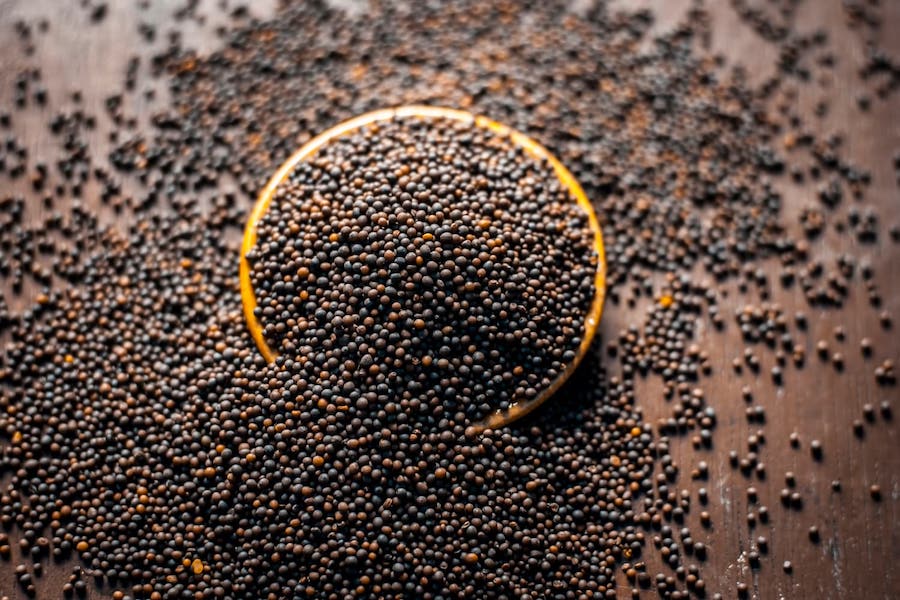 Black Mustard seeds - Sarso - Hạt Mù Tạt Rai/Sarson k dane ( 100g - 500g)