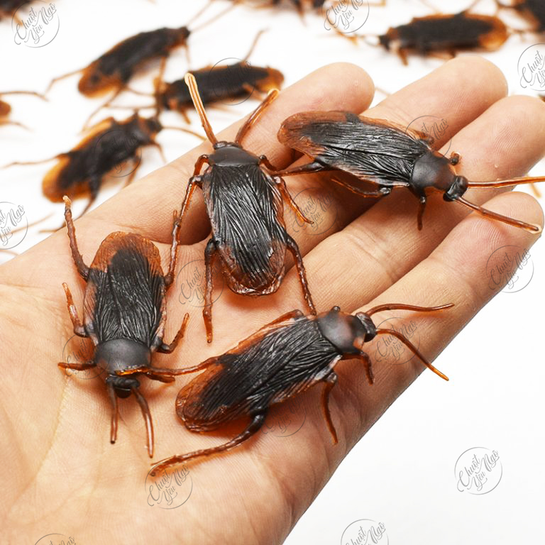 Combo 10 con gián giả đồ chơi cho mèo hoặc trêu ghẹo bạn bè