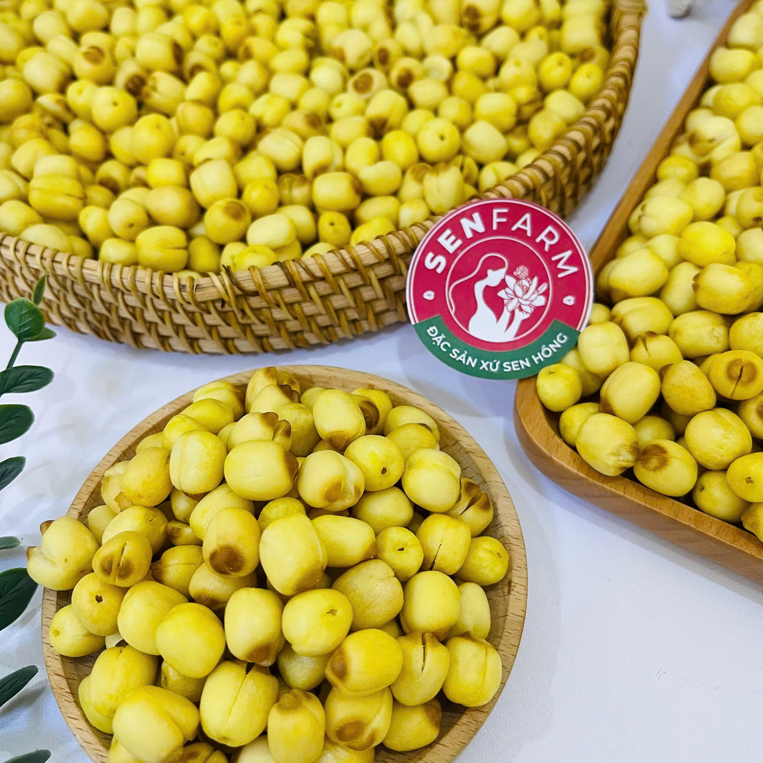 Hạt sen sấy giòn ăn liền Senfarm