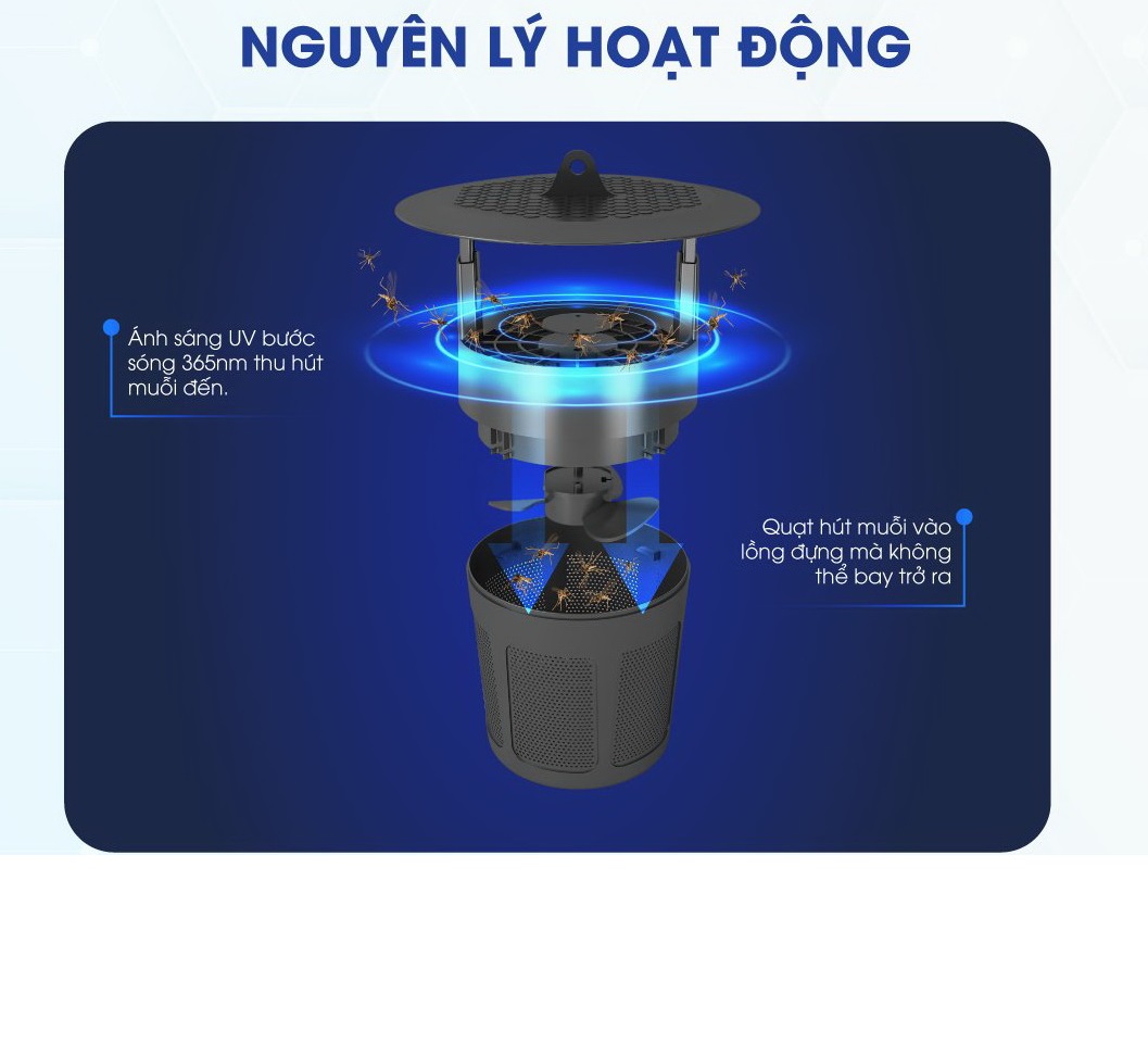 Đèn Bắt Muỗi Rạng Đông, Đèn Bắt Côn Trùng Rạng Đông
