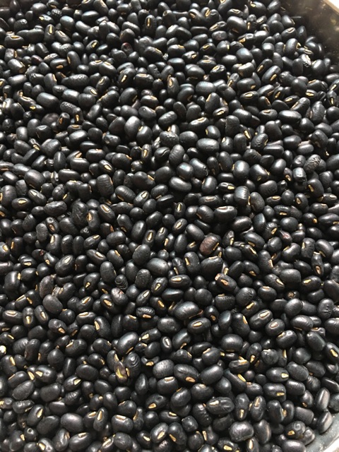 Đỗ đen quê: Sạch - Thơm - Bở - Xanh lòng 96% gói 1kg ( Hút chân không)