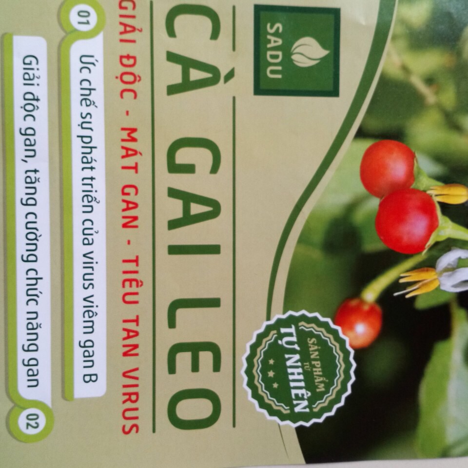 [HCM]1kg Trà túi lọc Cà Gai SADU