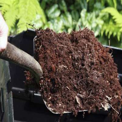 1kg of Trichoderma glaze