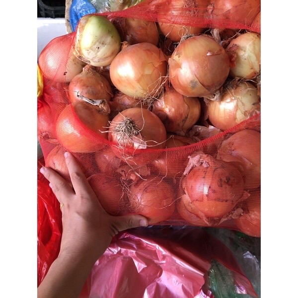 Củ Hành Tây tươi ngon túi 500g