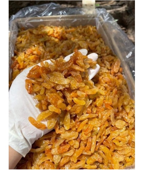 Nho khô Vàng Ấn Độ nhập khẩu (200gr-500gr)