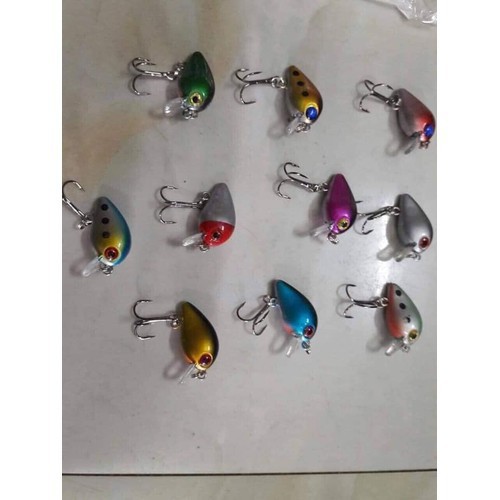 mồi ruồi siêu nhạy