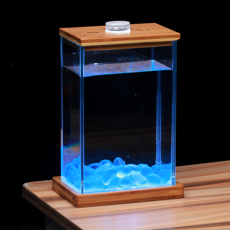 Bể cá chọi Betta-02