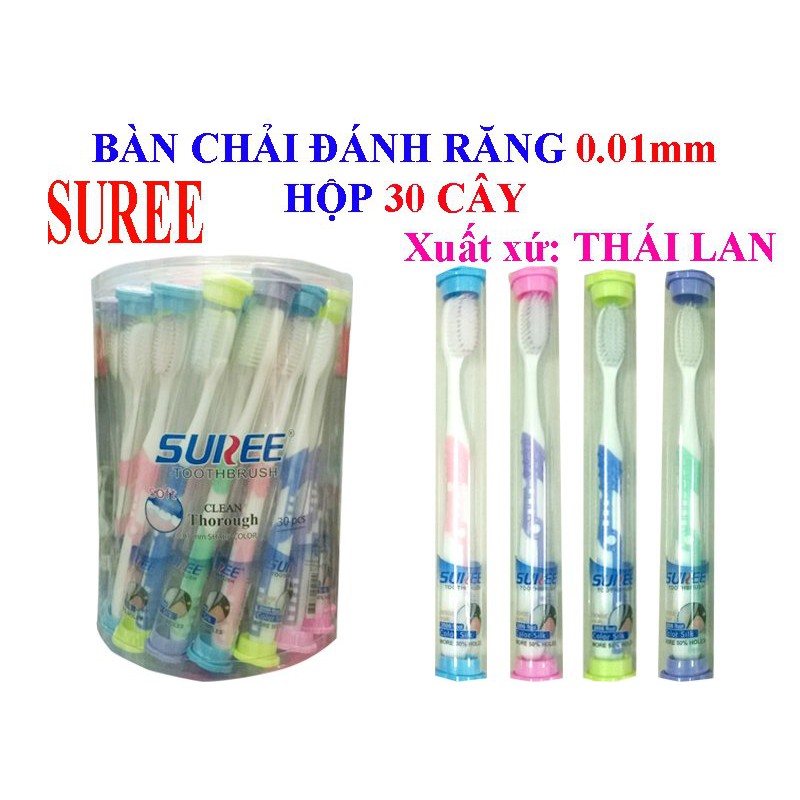 Hộp 30 cây bàn chải lông mềm SUNREE cao cấp Thái Lan