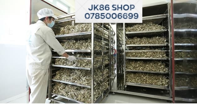 SẢ SẤY KHÔ 100GR