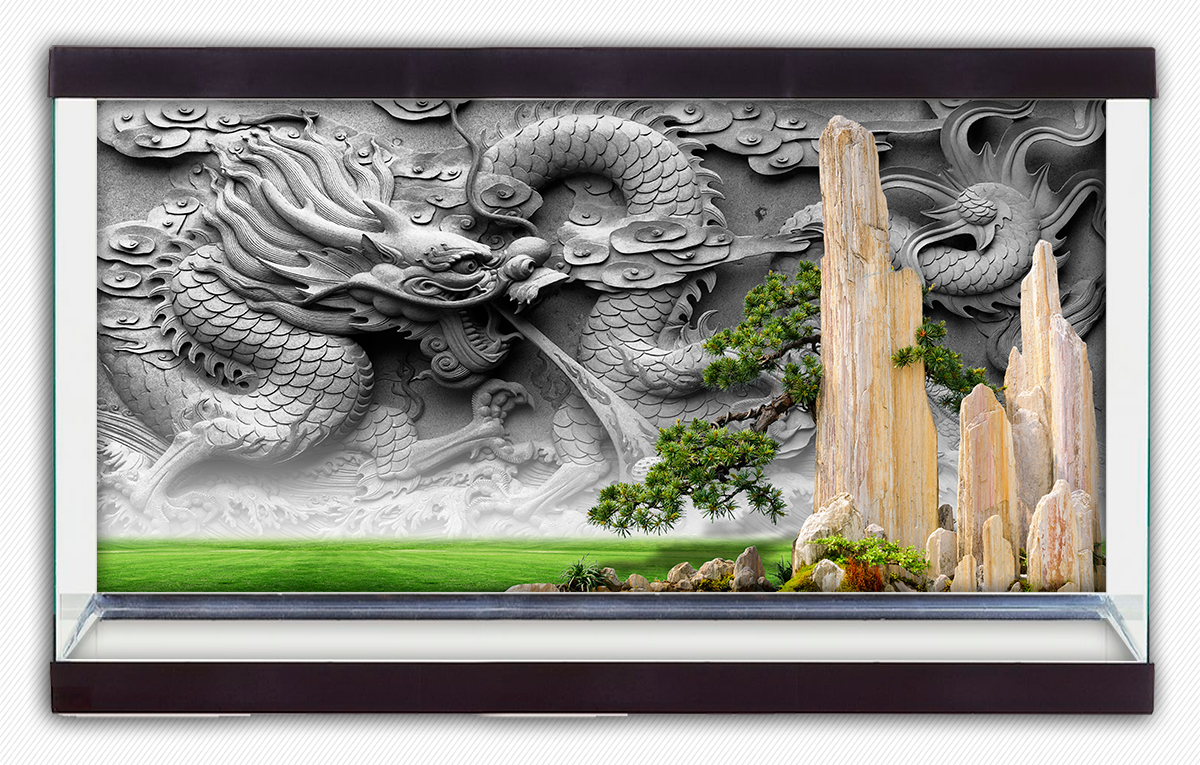 Tranh dán hồ cá HD Rồng phun mưa Aquarium tank - 020 nhiều kích thước