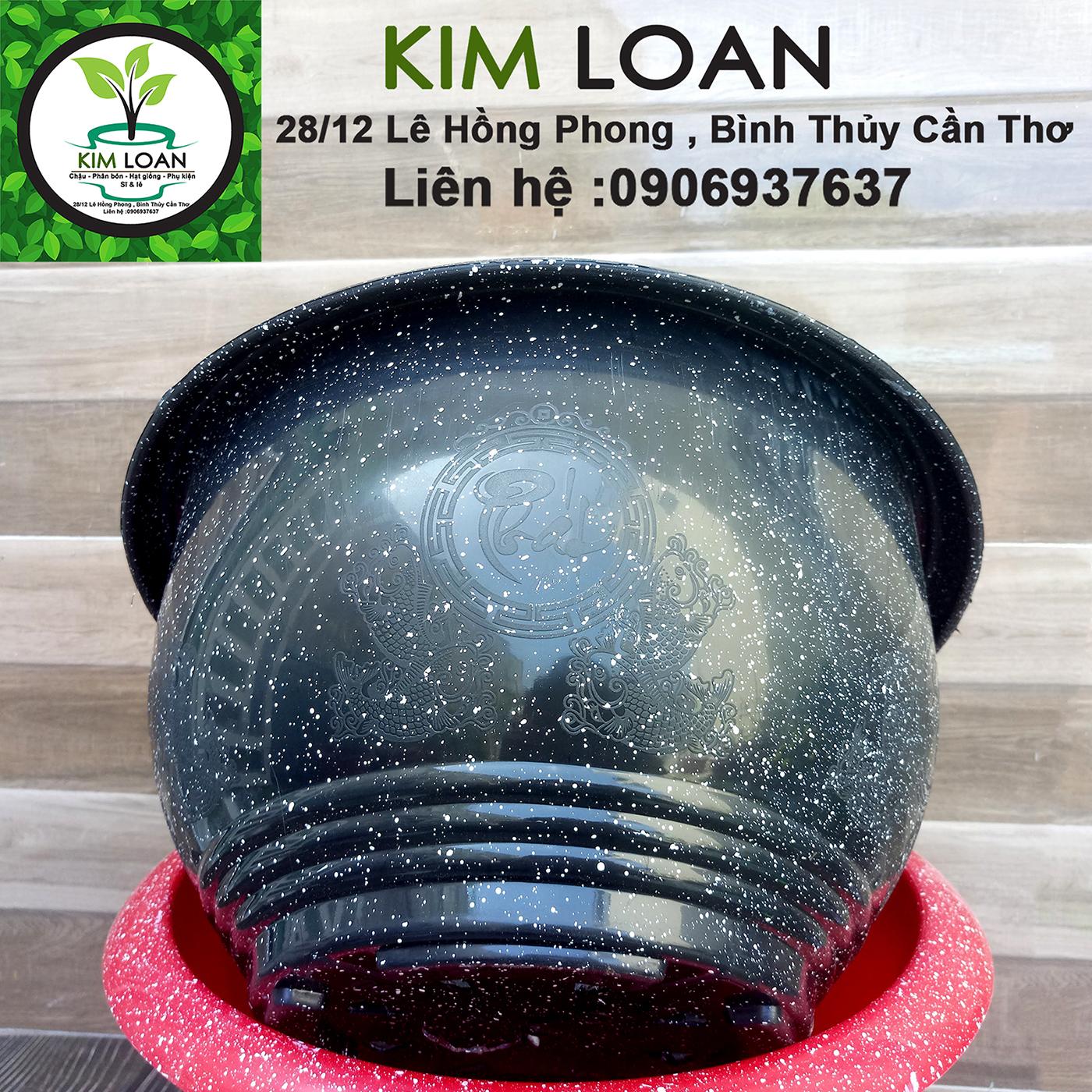 Combo 4 chậu tròn vân đá Cát Tường 35x20cm