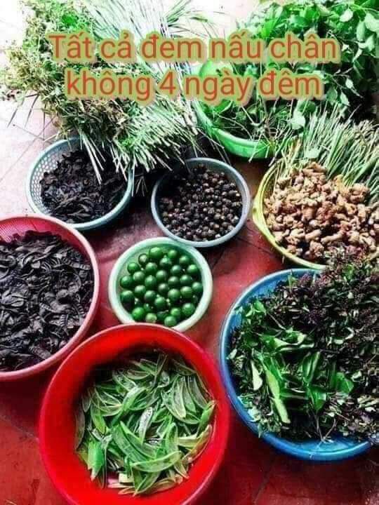 dầu gội đầu thảo dược thanh mộc hương