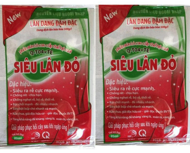 Siêu Lân Đỏ Cho Hoa gói 20ml