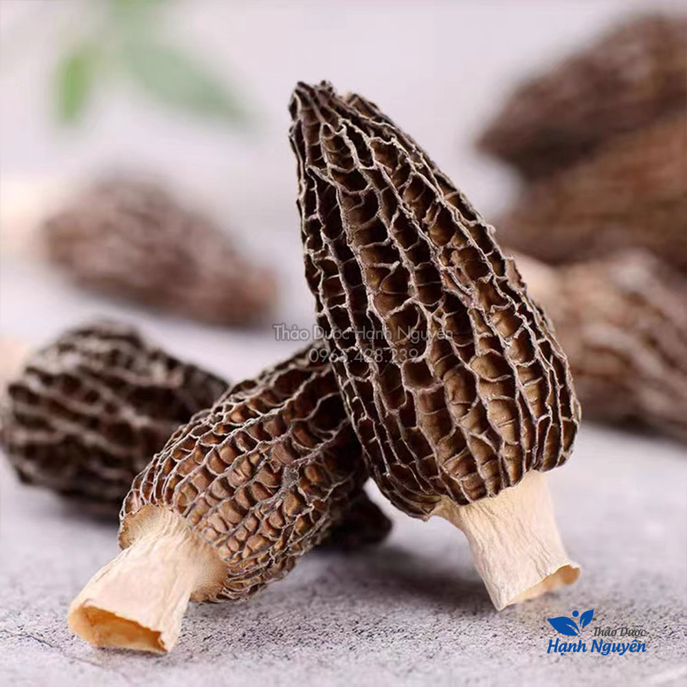 Nấm bụng dê 50g, nấm quý nấu canh, lẩu nấm, nấm dưỡng sinh, bổ dưỡng, tăng cường sức khỏe