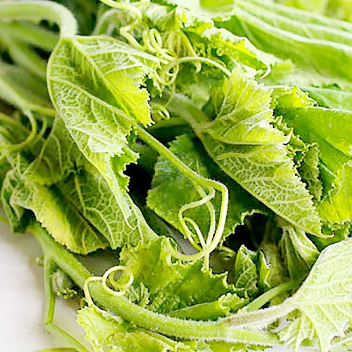 Hạt Giống Bầu Siêu Ngọn (5gr)