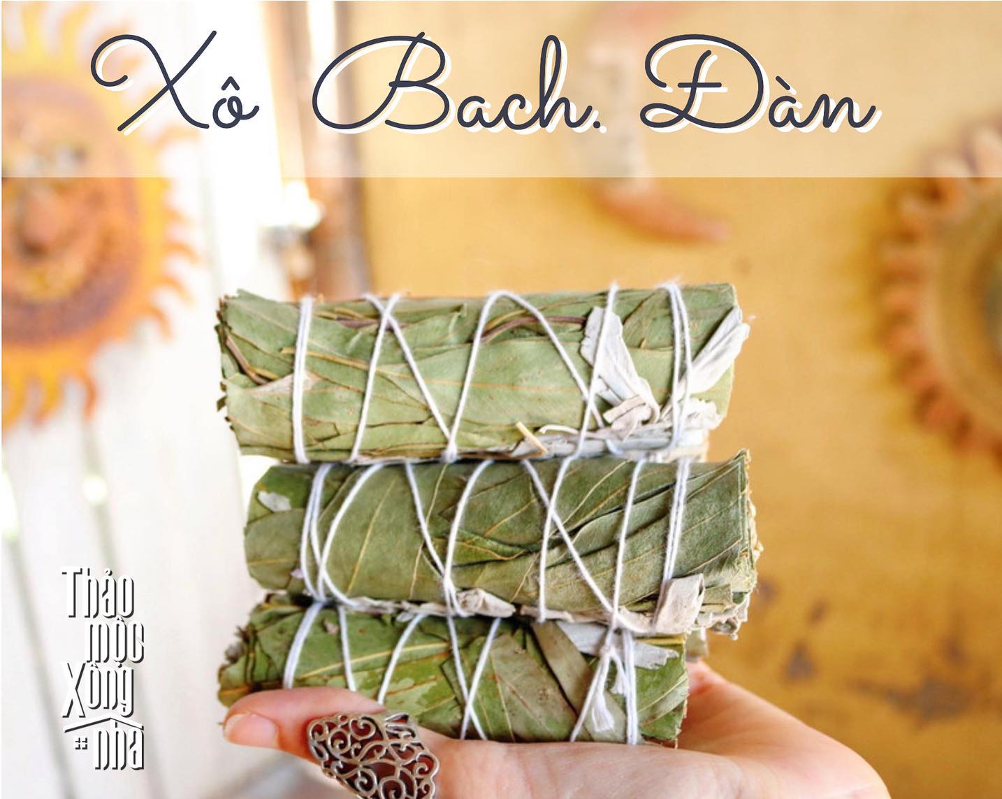 Xô Bạch Đàn - Eucalyptus - Thảo Mộc Xông Nhà