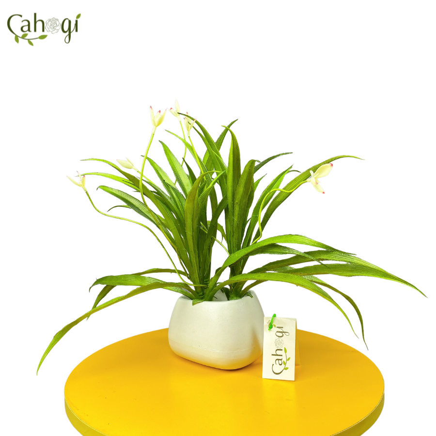 Cây Giả Cây Lan Chi 2 Nụ