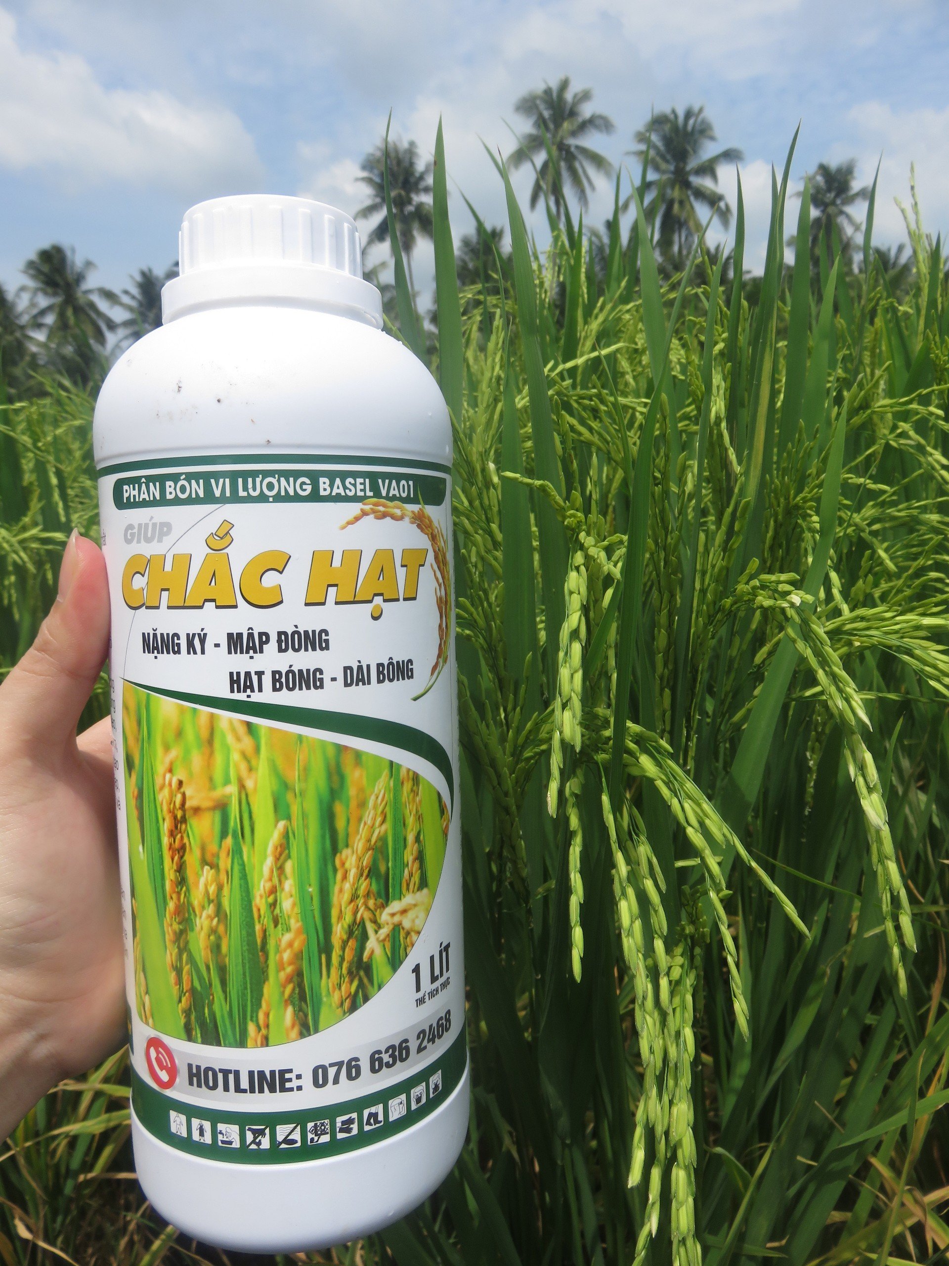 Phân bón Chắc hạt chuyên lúa