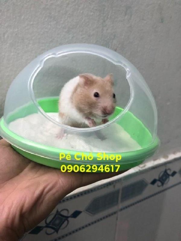 Nhà Tắm Cát lớn cho hamster Bear ,ngũ sắc .