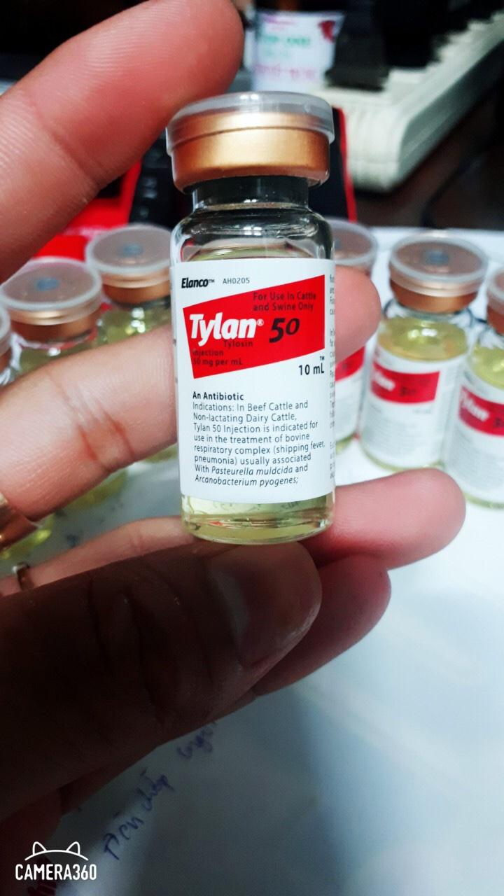 Tylan 50 trị tang, khò khè cho gà đá