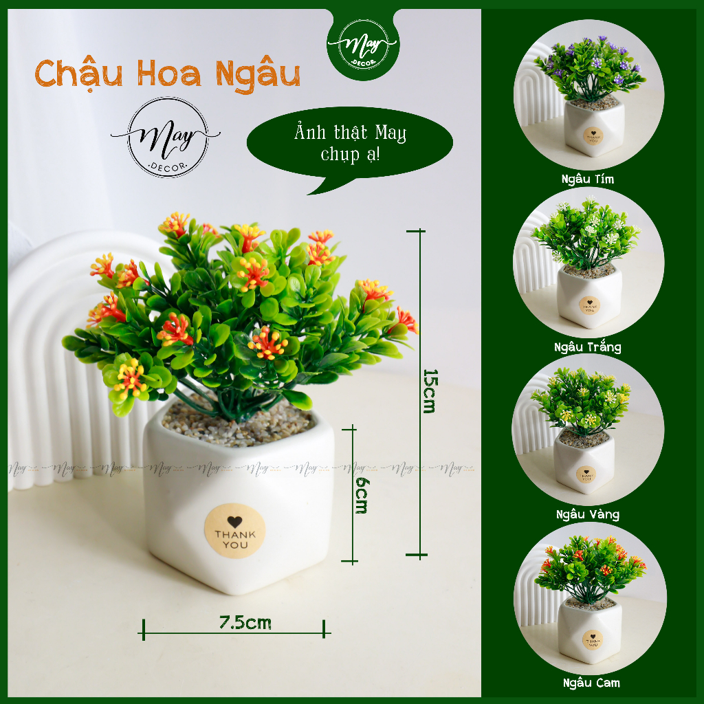 Hoa giả, Chậu hoa Ngâu để bàn trang trí