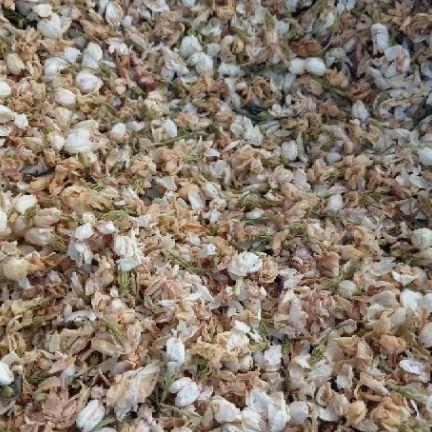 500g hoa nhài khô