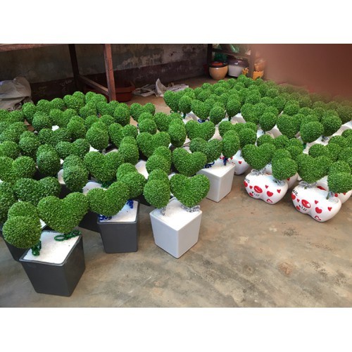 Phân trùn quế (đã qua xử lý) SFARM PB01 - bao 5kg