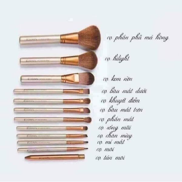 Bộ 12 cọ trang điểm Naked3
