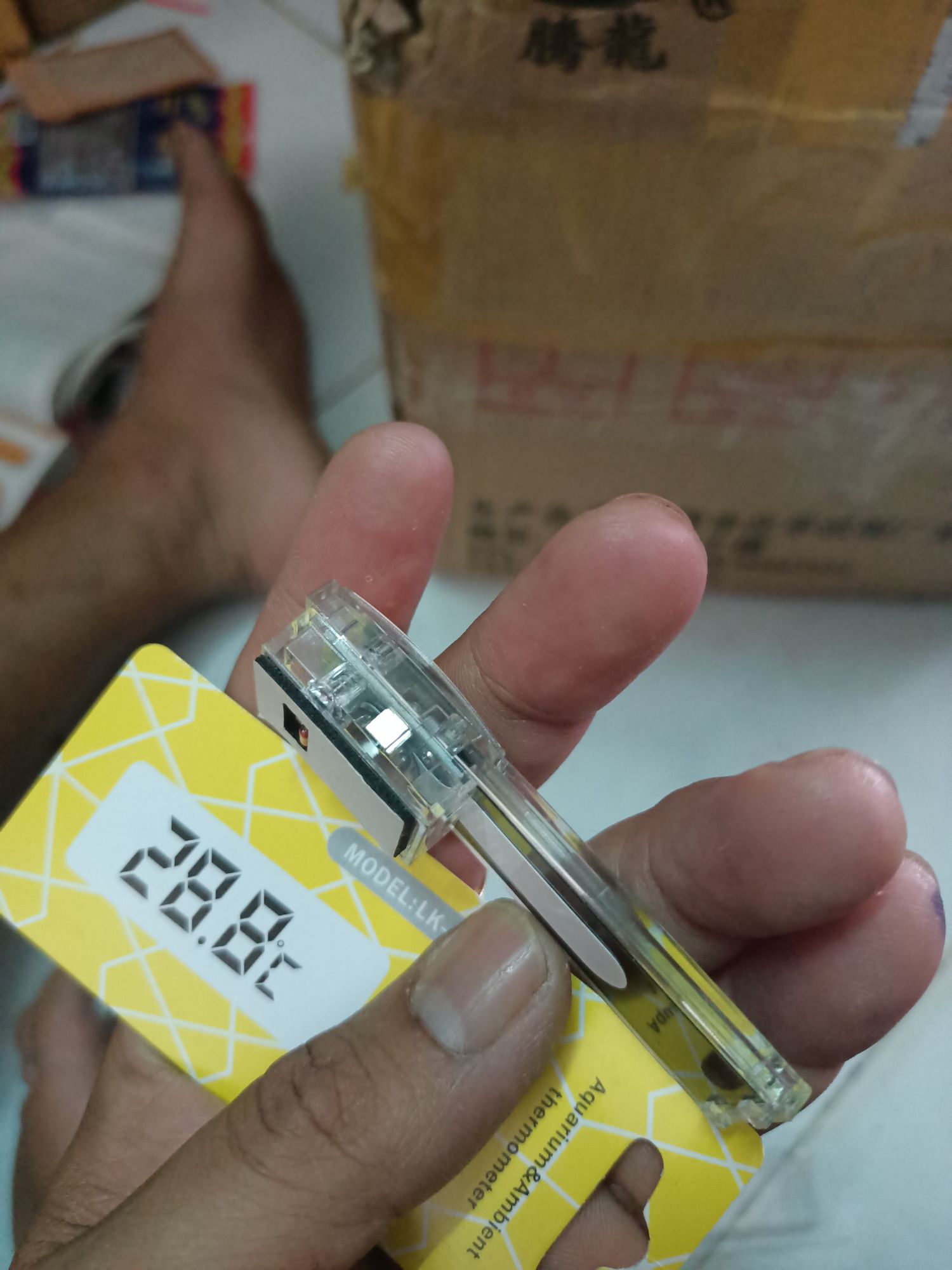 Nhiệt Kế Dán Hồ Cá Đo Nhiệt Độ Hồ Cá
