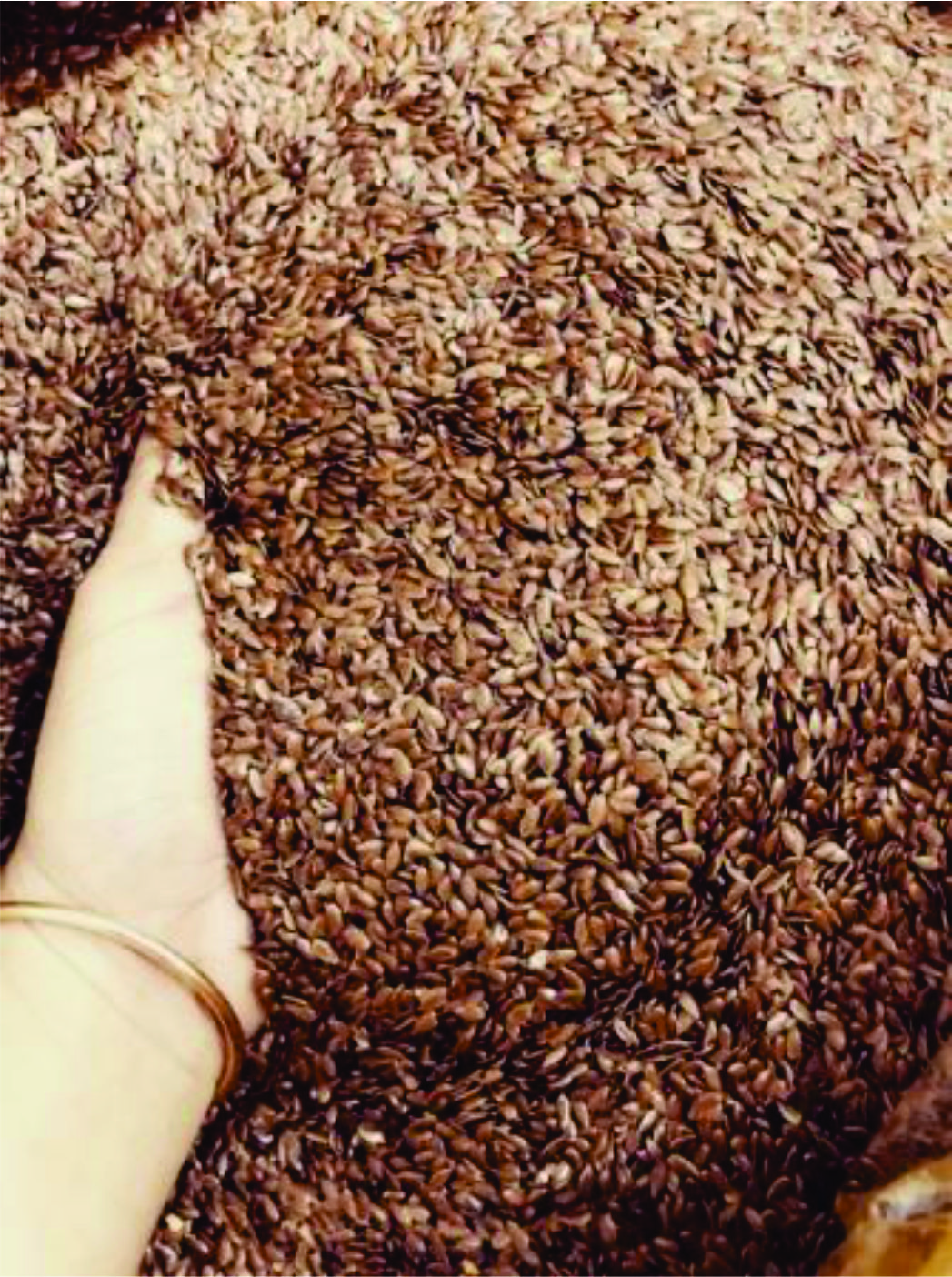 Hạt Lanh Canada 500g