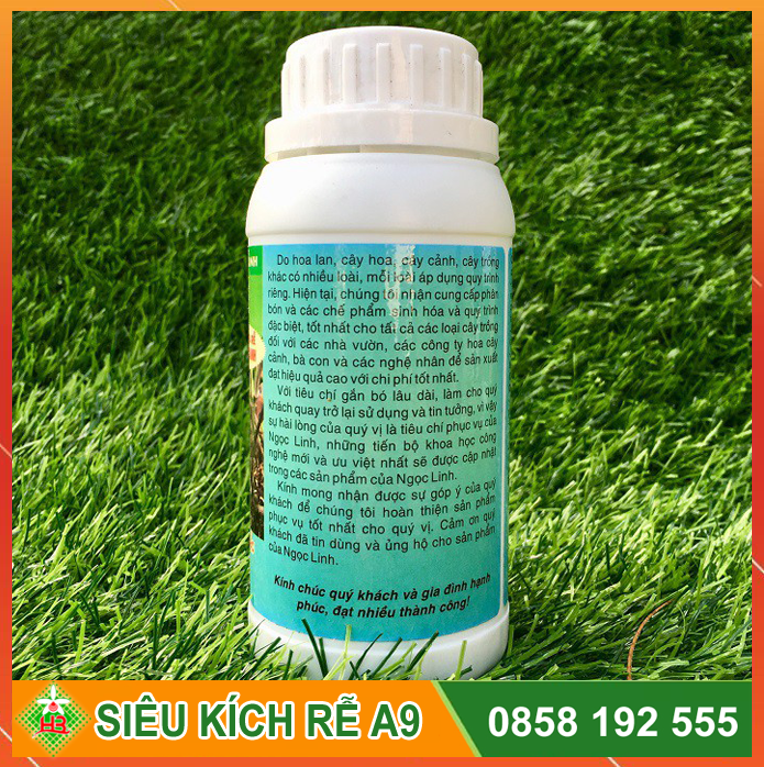 Chế phẩm siêu kích rễ A9 Ngọc Linh