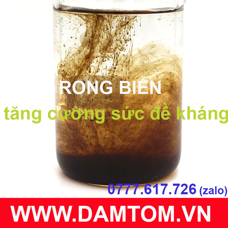 Bột rong biển (Seaweed extract powder) dạng bột, vảy tan 100% (gói 500g)