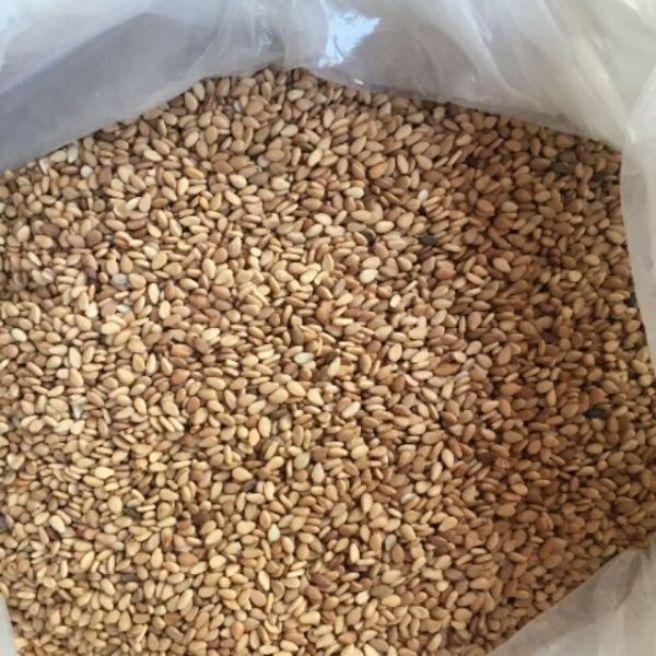 Sỉ toàn quốc 500g vừng vàng