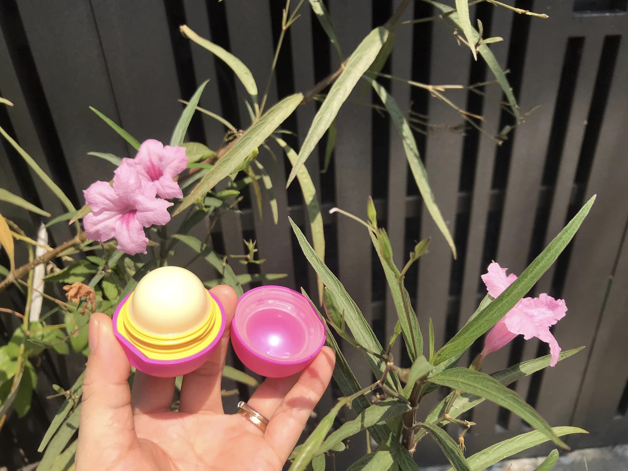 1 Son trứng EOS dưỡng môi 25 gam