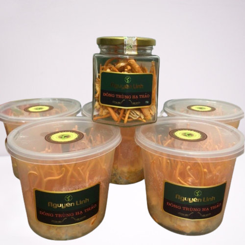 Đông Trùng Hạ Thảo khô 10g