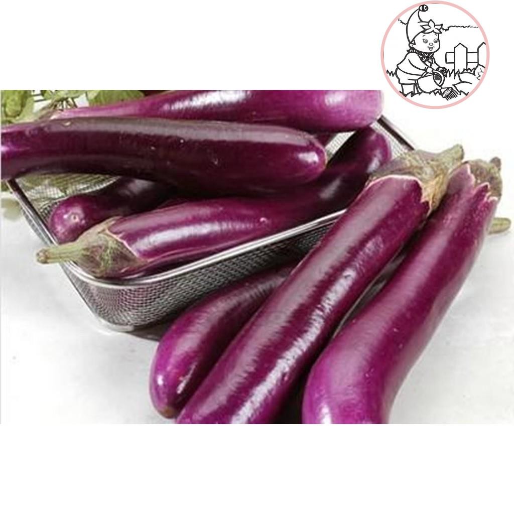 HẠT CÀ NÂU CƠM XANH CÀ TÍM DÀI - GÓI 1 GRAM