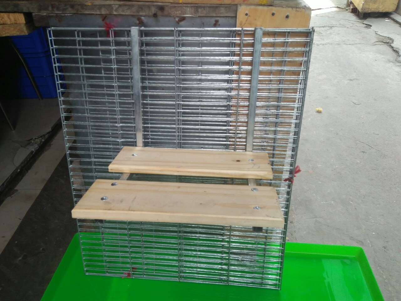 Kệ cho đứng chim bồ câu