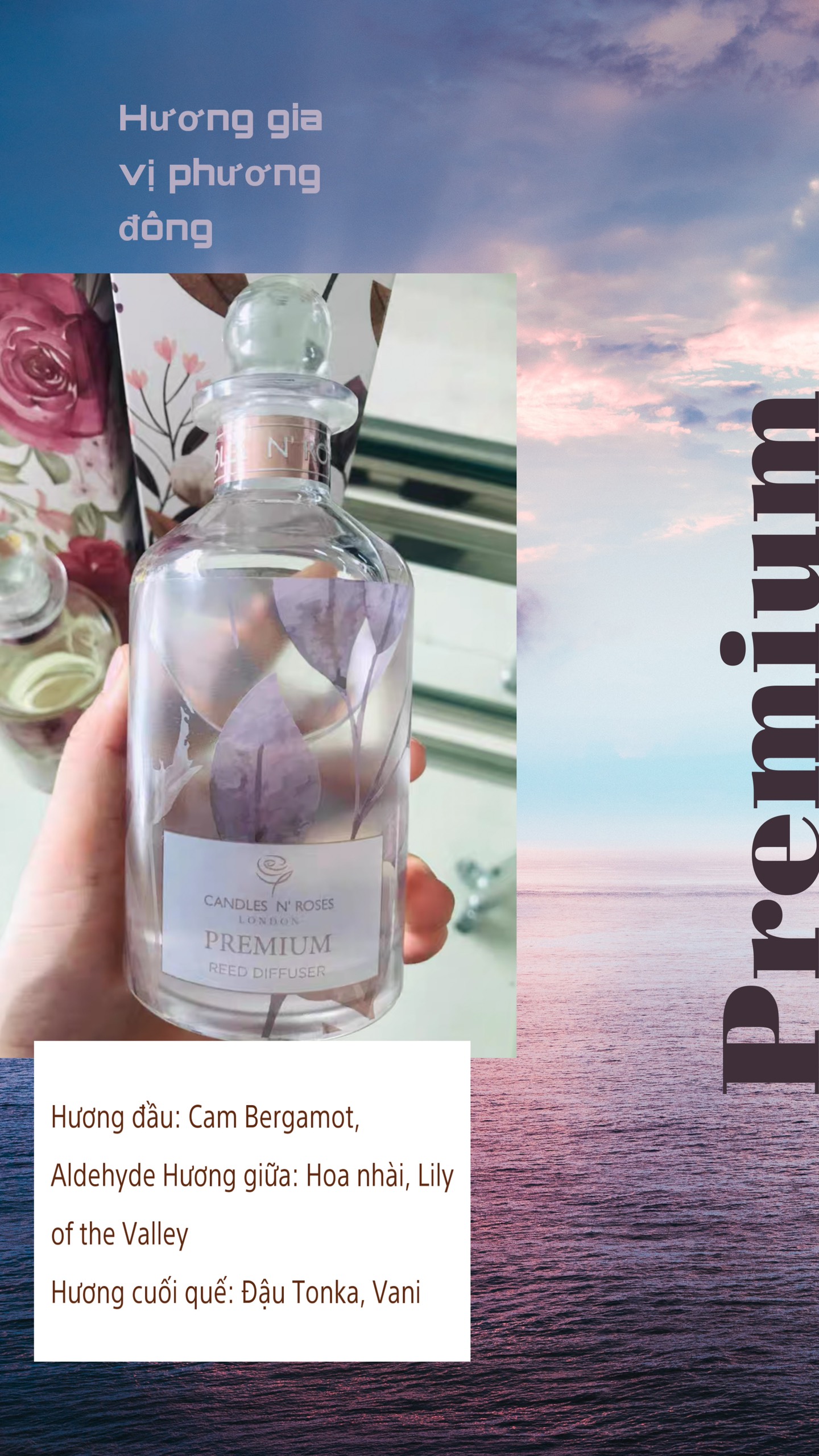 Tinh dầu tỏa hương dạng que Reed Diffuser