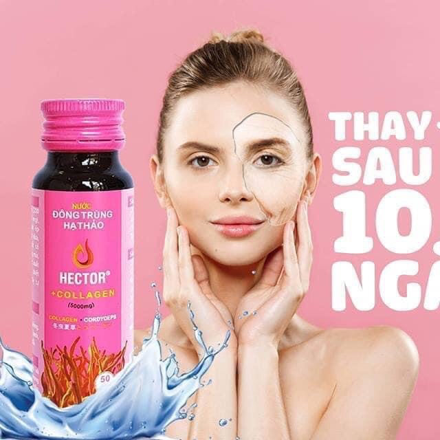 Đông trùng hạ thảo Hector collagen .