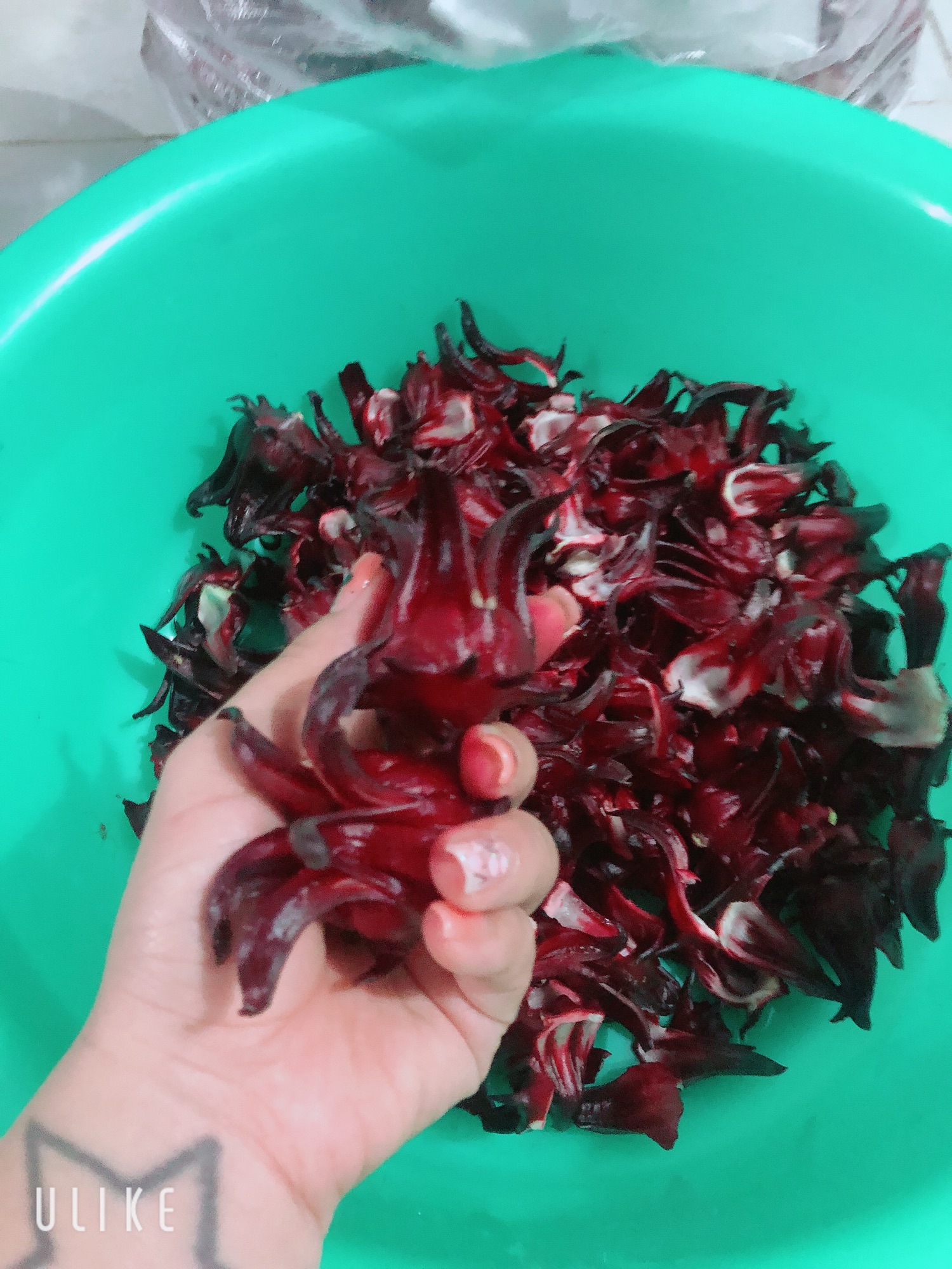 [HCM]Mức atiso đỏ