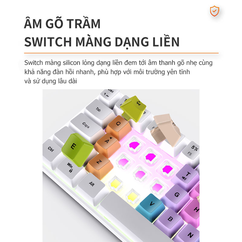 Bàn Phím Cơ  RGB Led Chế Độ Có Dây  Bố cục 61 phím Silicon lỏng,switch màng Cắm là sử dụng ,Type-c/USB, phân tách riêng bàn phím và dây