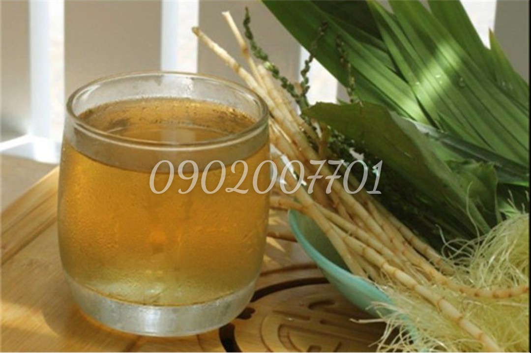 Rễ Cỏ Tranh (Bạch Mao Căn, Rễ Cỏ Gianh) 100g/200g/300g/500g