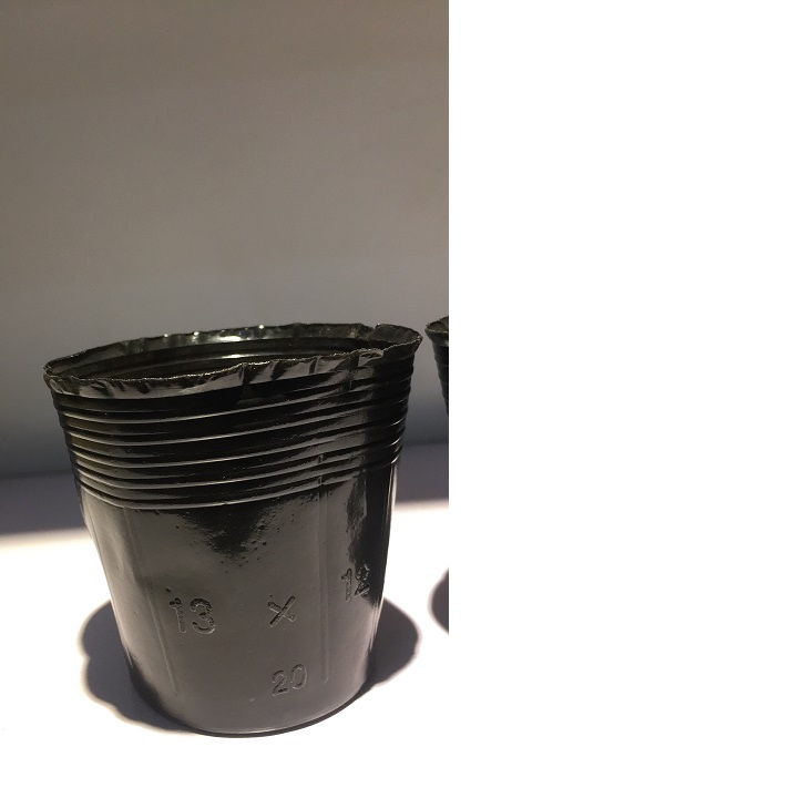 1kg bịch bầu ươm cây cỡ 13x12